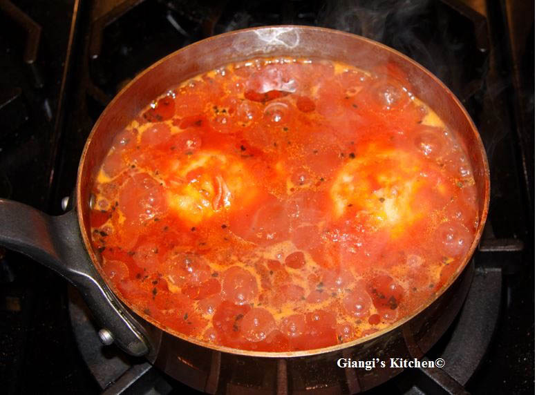 Chicken-with-tomatoes-sauce-copy-8x6.JPG