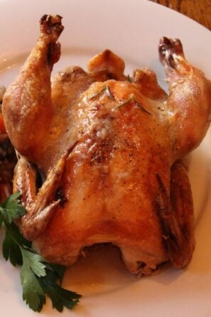 Cornish hen on a serving plate