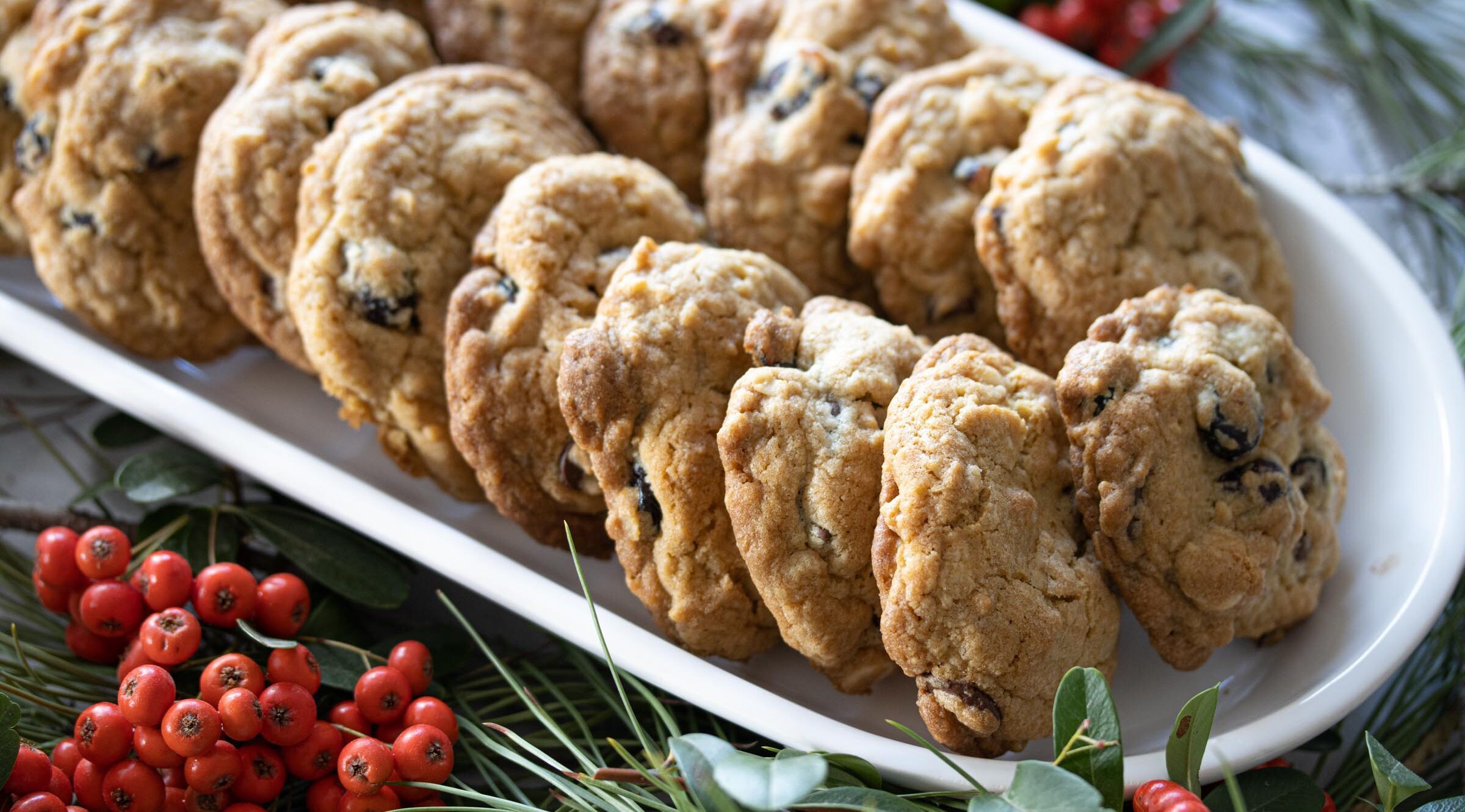 Dried Cranberry Chocolate Cookies - The Best Recipe Ever | Giangi&amp;#39;s Kitchen