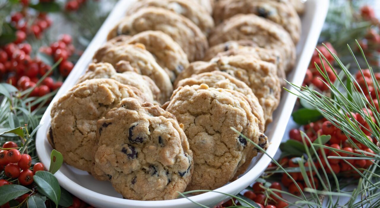 dried cranberry and chocolate cookies dried cranberry and chocolate cookies