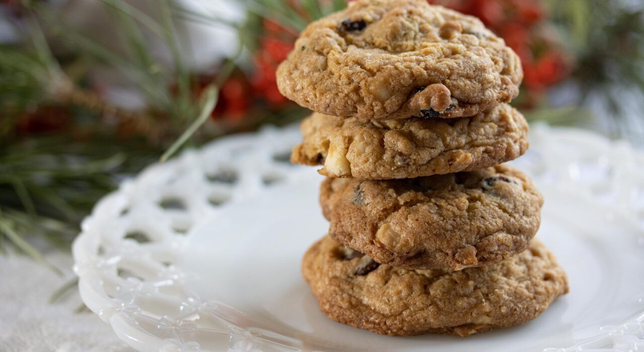 dried cranberry and chocolate cookies dried cranberry and chocolate cookies