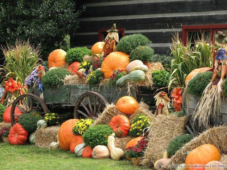 Thanksgiving-diplay-8x6.jpg