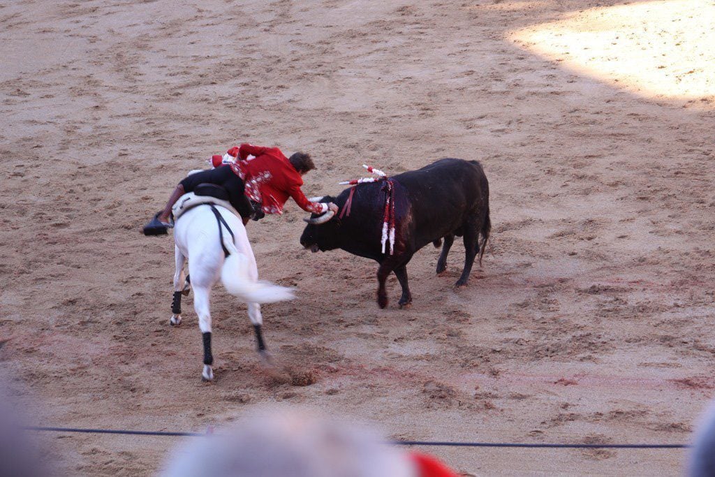 Pablo Hermoso de Mendoza