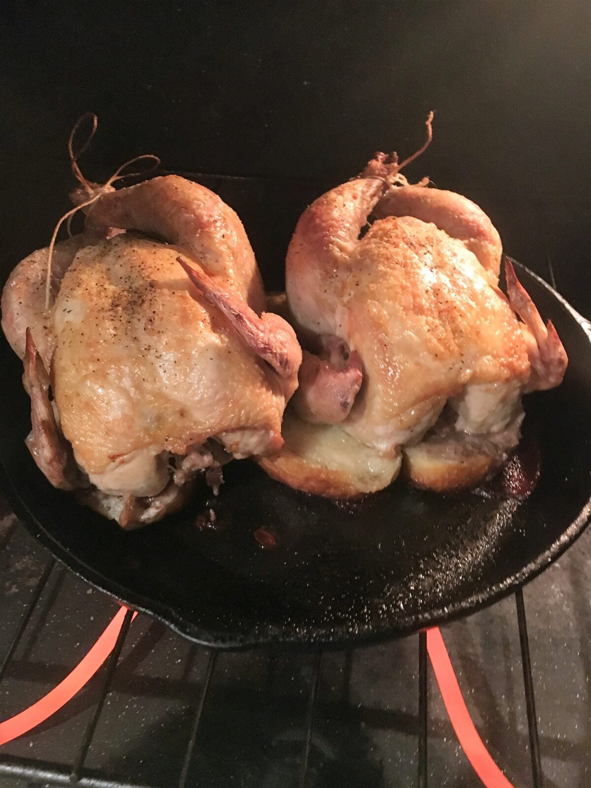 Cornish hen in the skillet, leg closed with cooking twine.