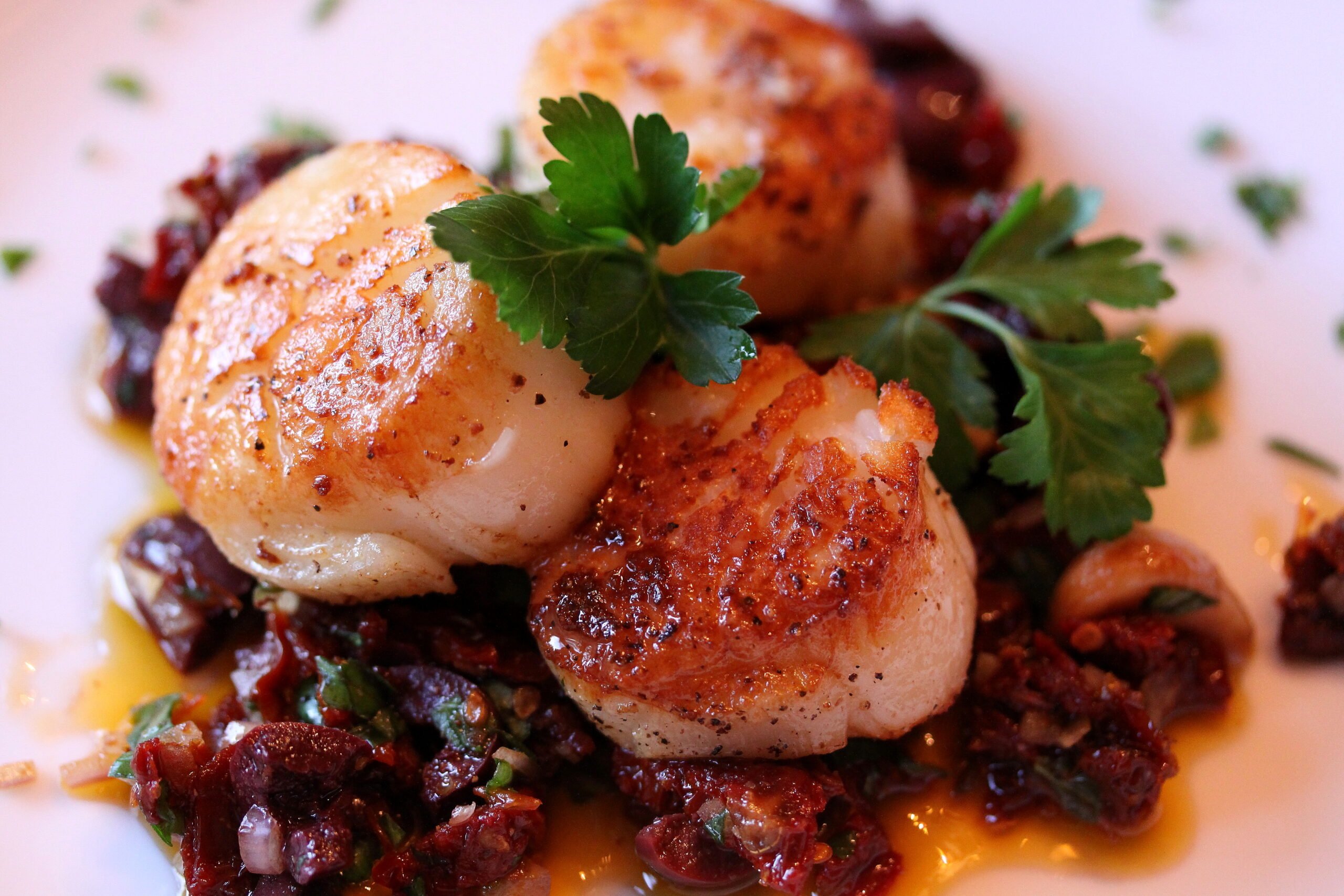 seared sea scallops with garlic compote