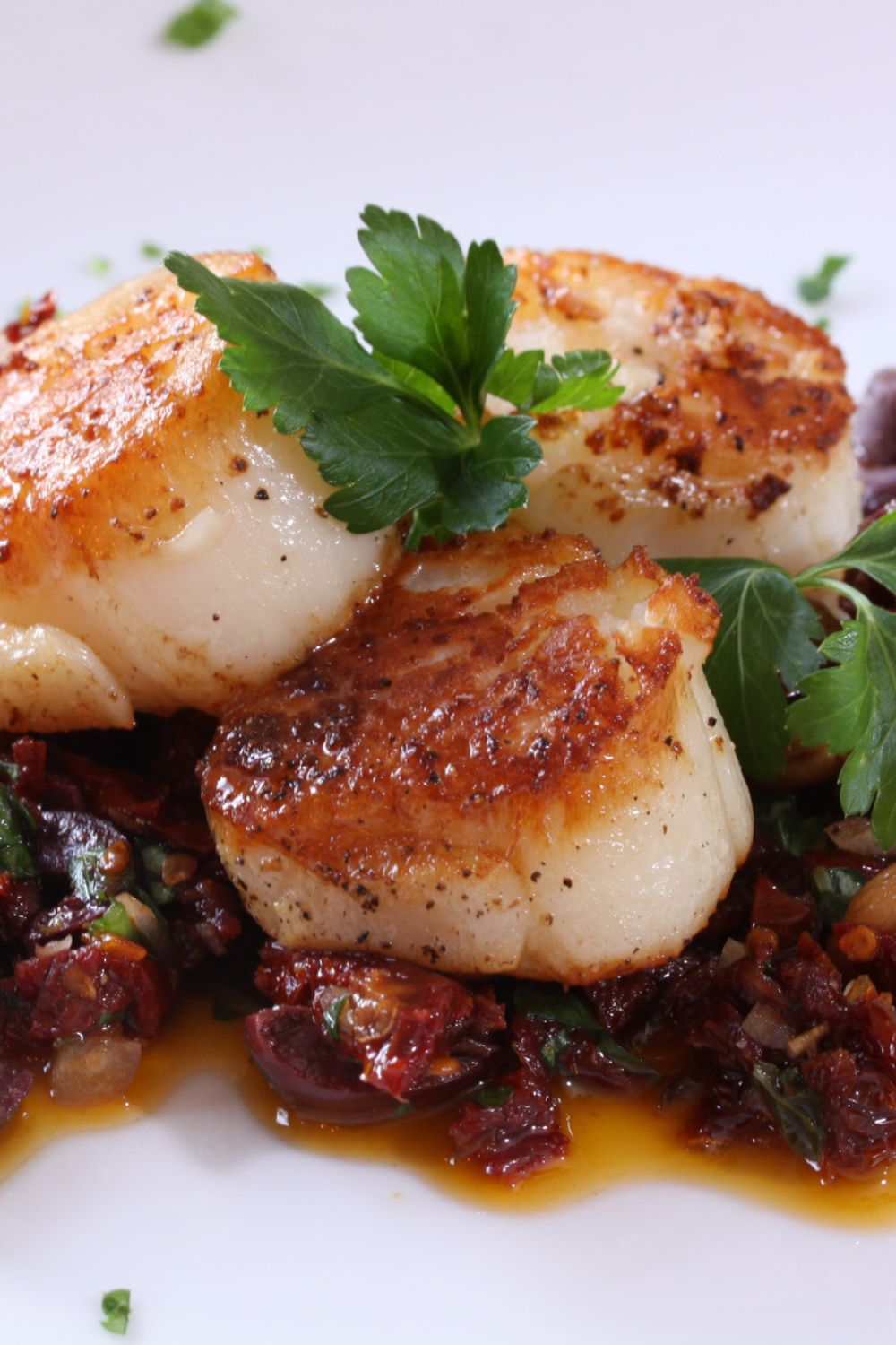 seared sea scallops with garlic compote