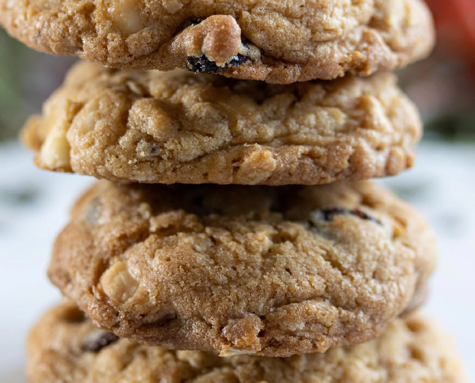 DRIED CRANBERRY AND CHOCOLATE COOKIE