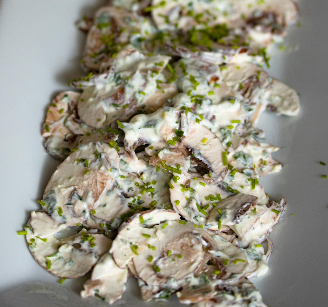 Easy Mushroom Salad With Herbs Top down view of salad on a plate.