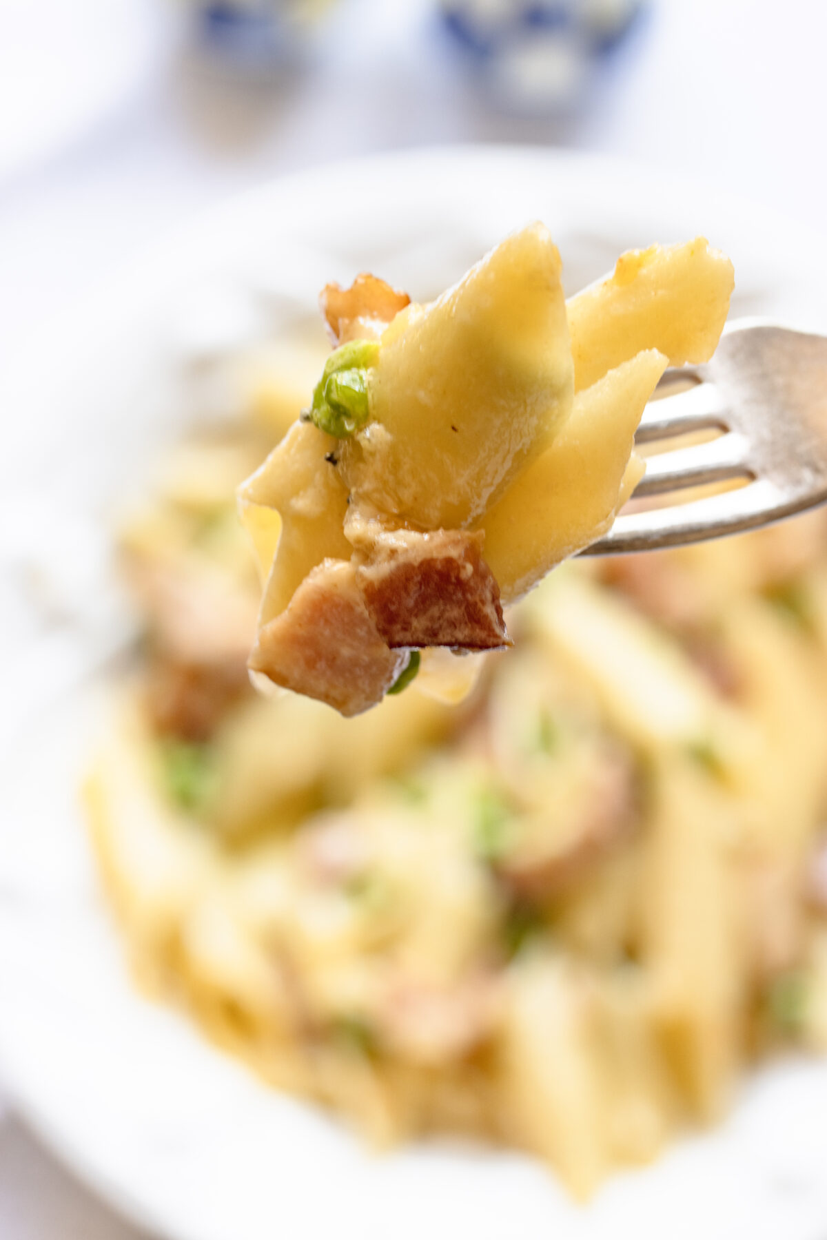 Close up of a fork with the pasta with bacon and peas. Ready to be enjoyed.