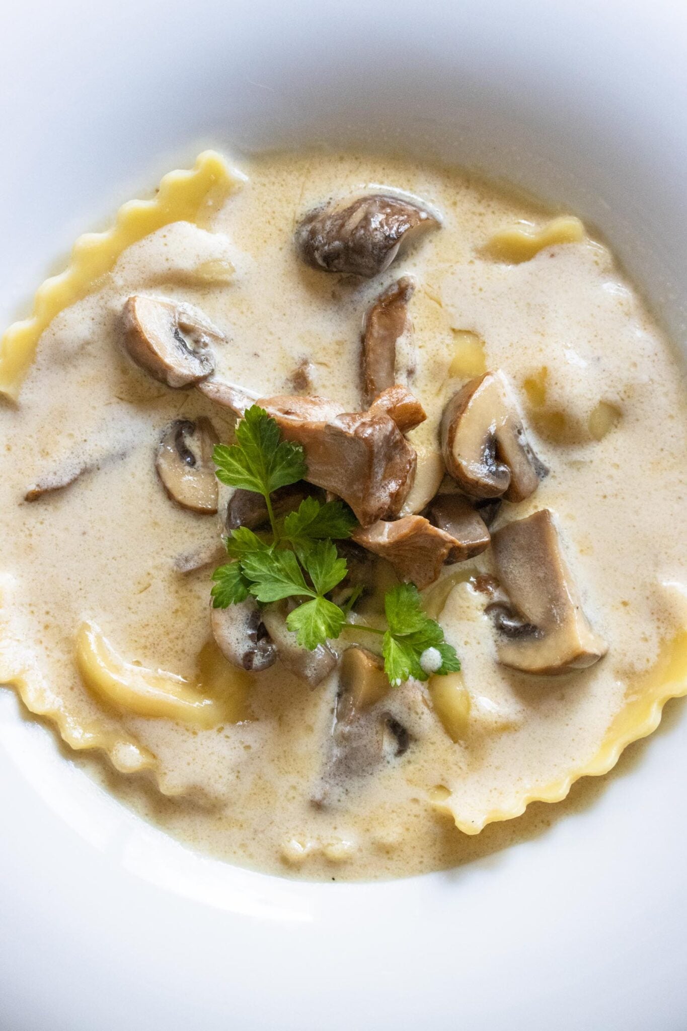 ravioli mushroom