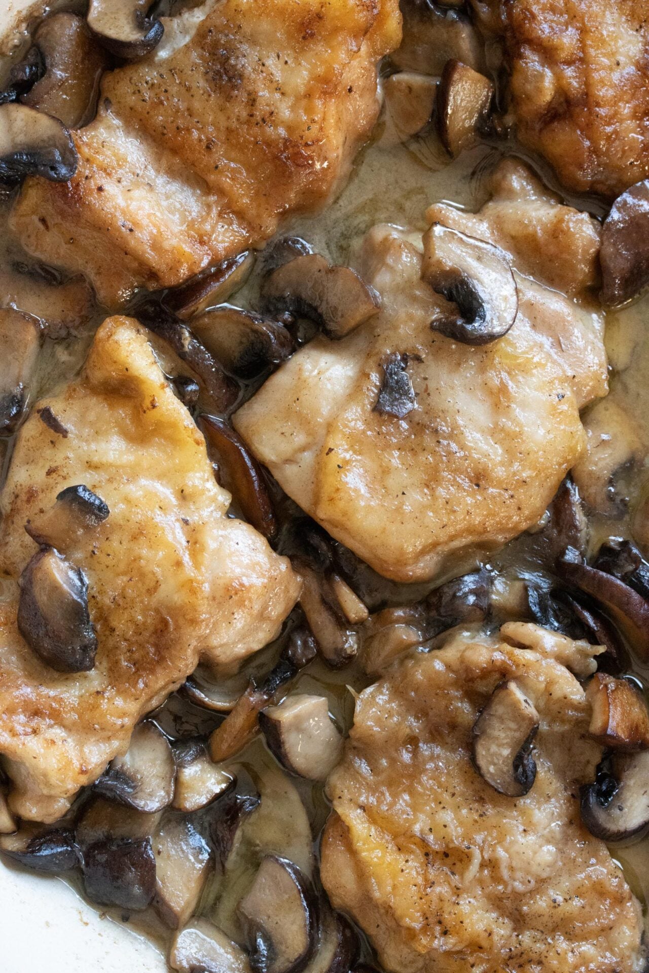 mushroom chicken mushroom chicken