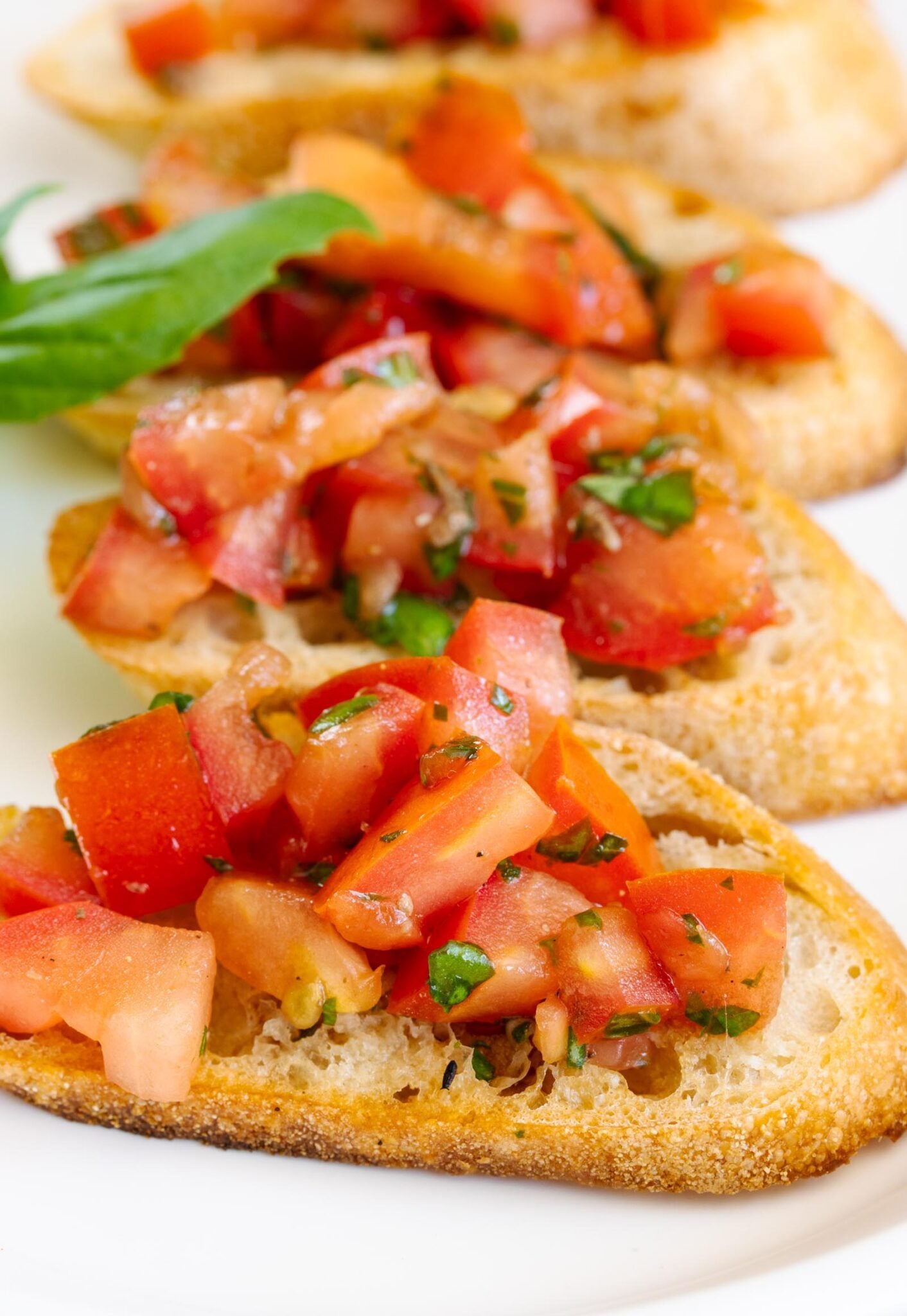 Bruschetta with tomatoes, anchovy and garlic