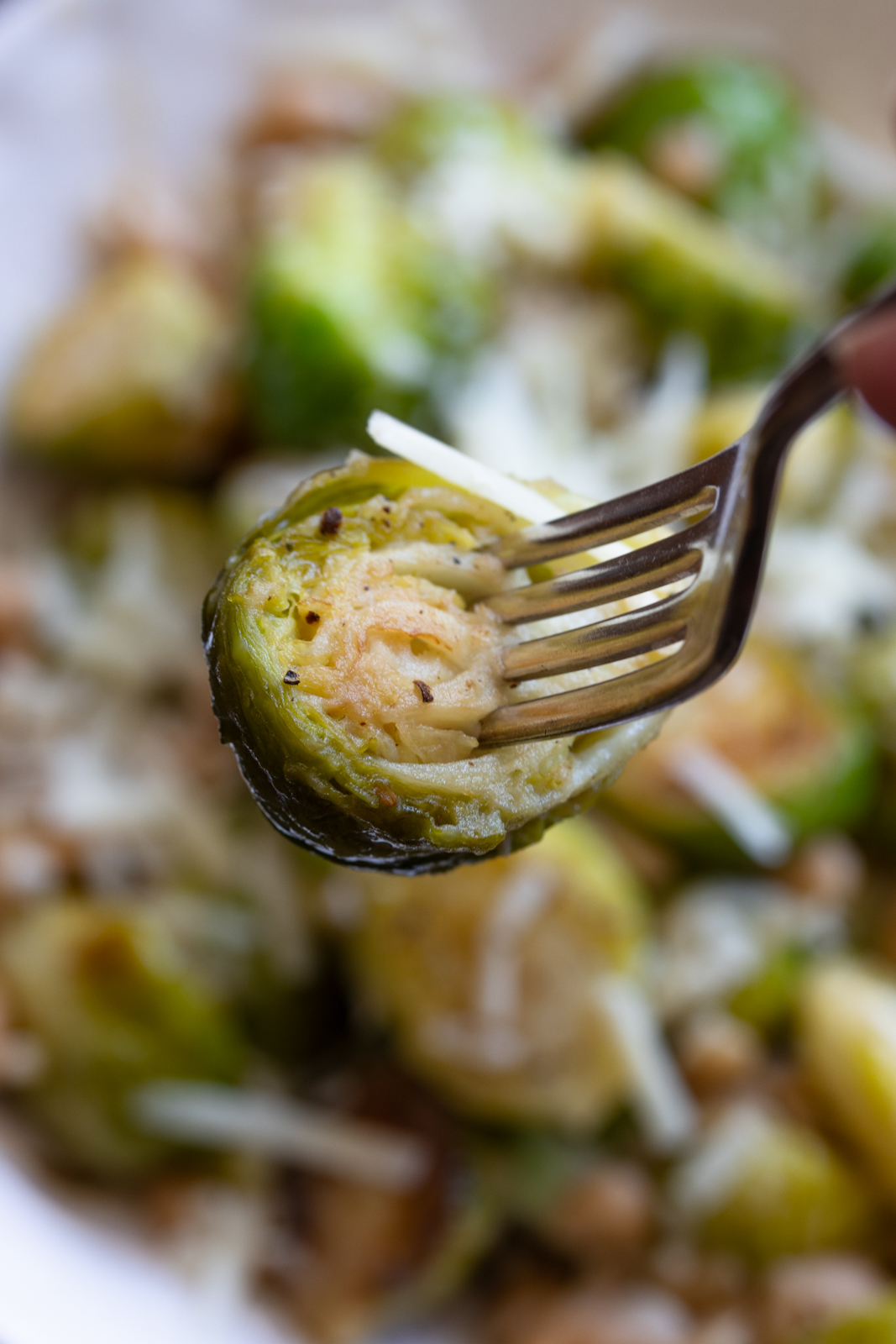 fork close up of a brussels sprouts and white beans