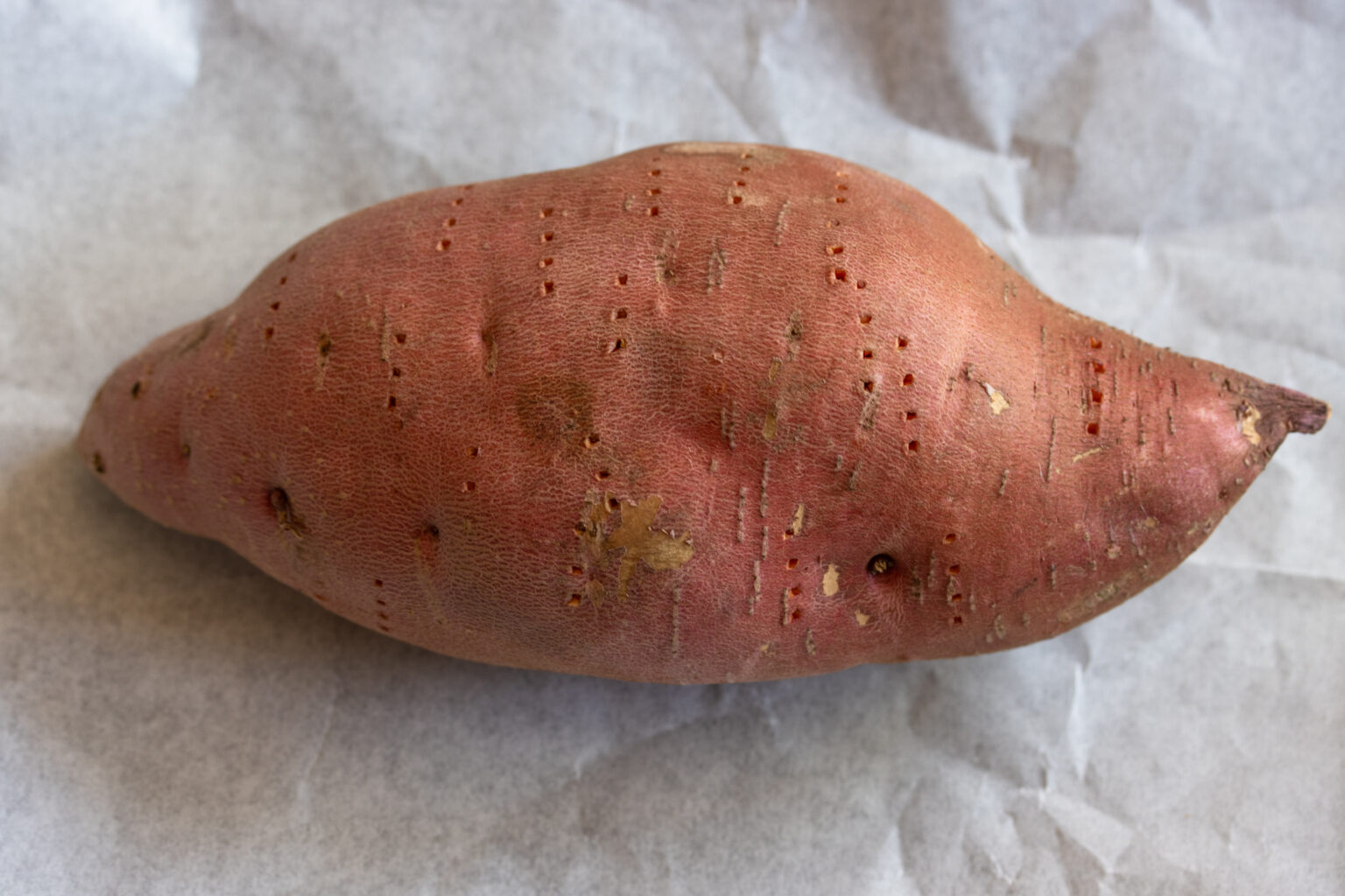 A sweet potato poked with fork prior to baking.
