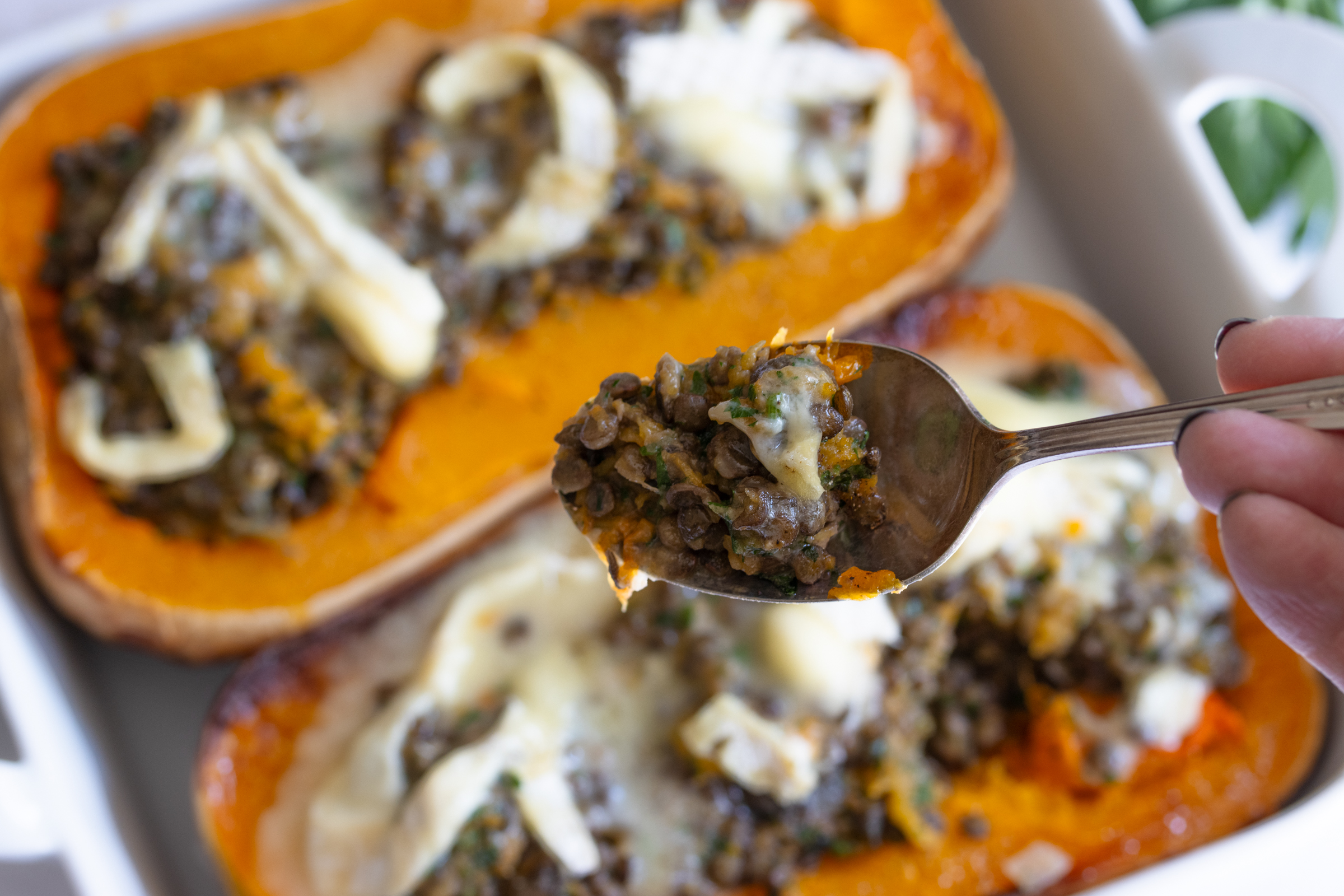 spoonful of Stuffed butternut squash with cheese