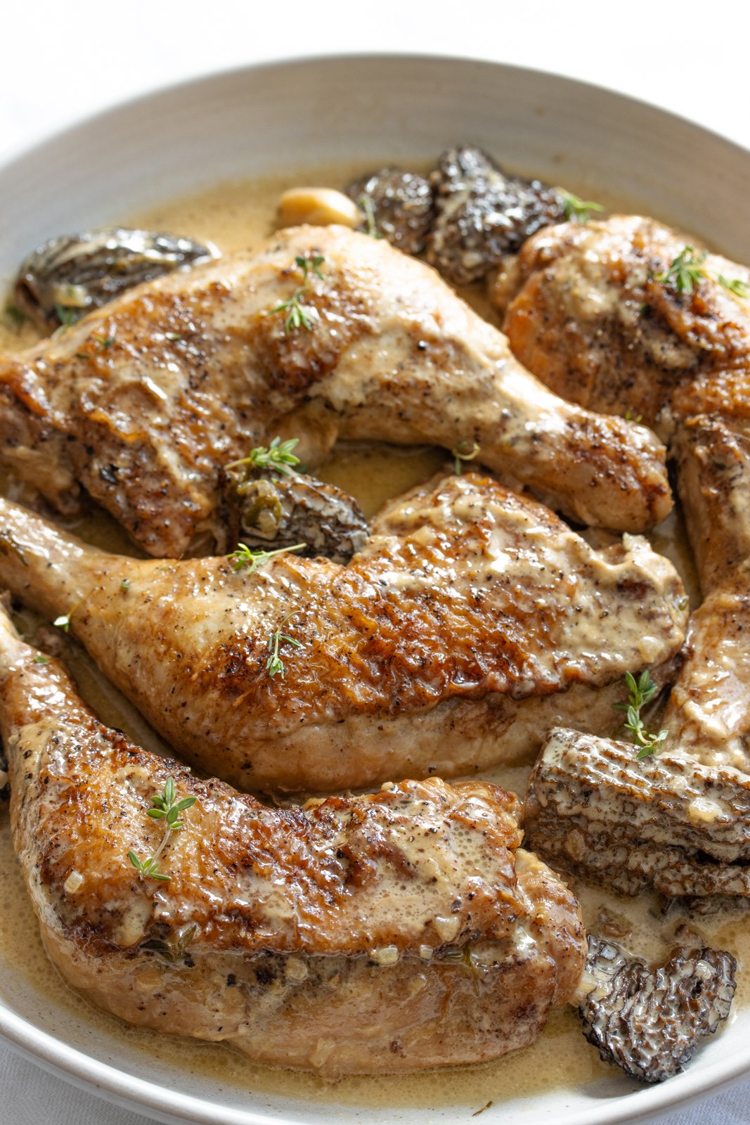 fricassee chicken, morels, and wine on a serving plate