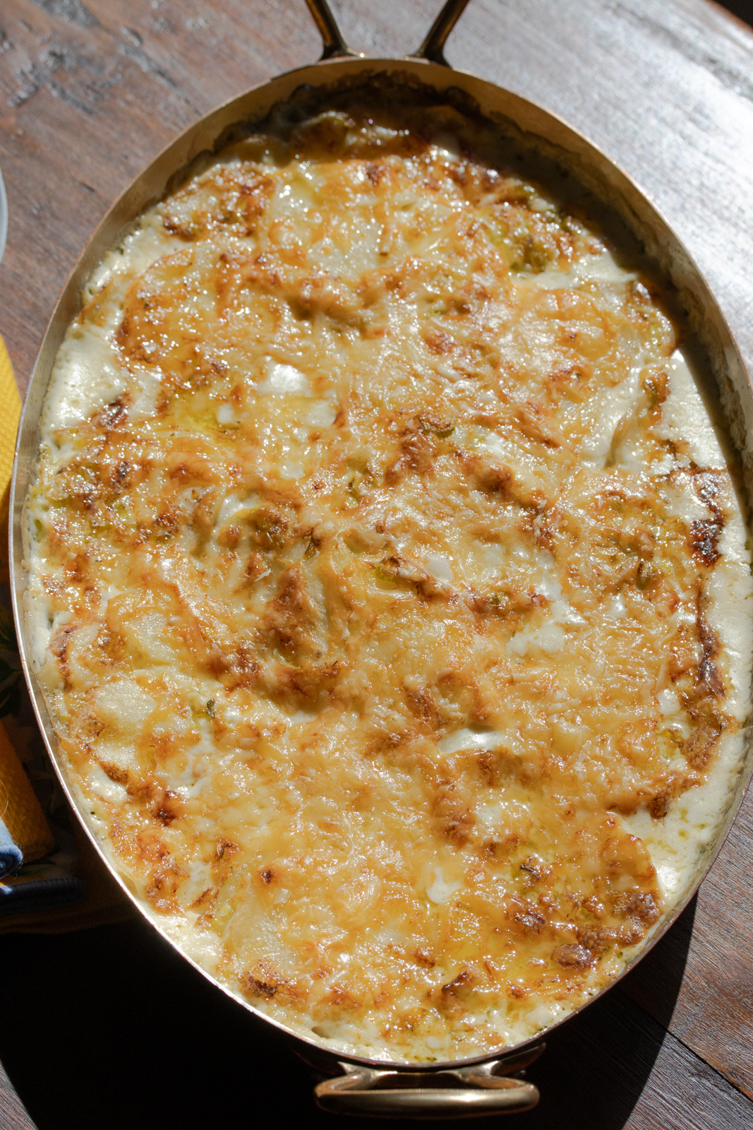 gratin out of the oven