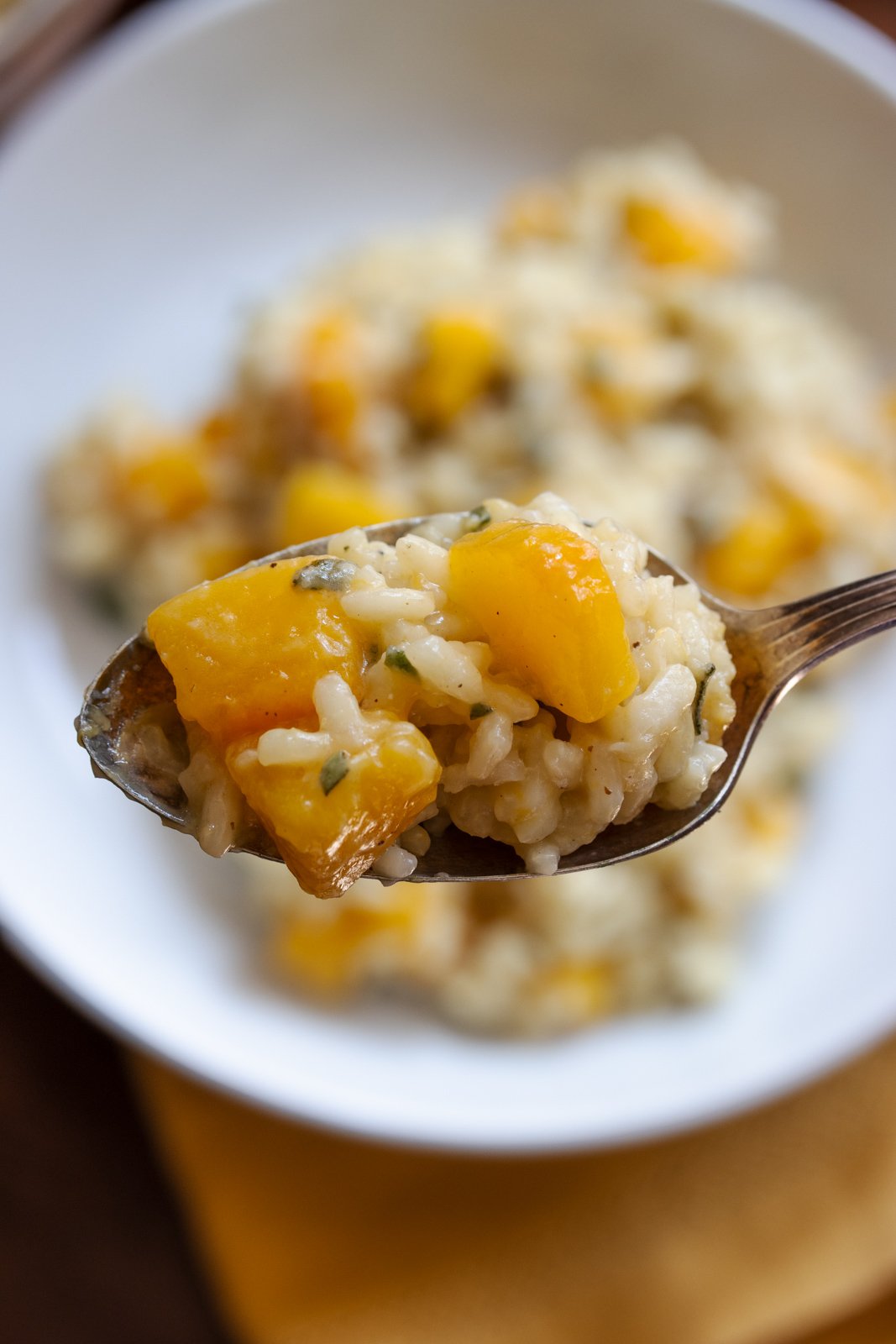 A spoonful of risotto