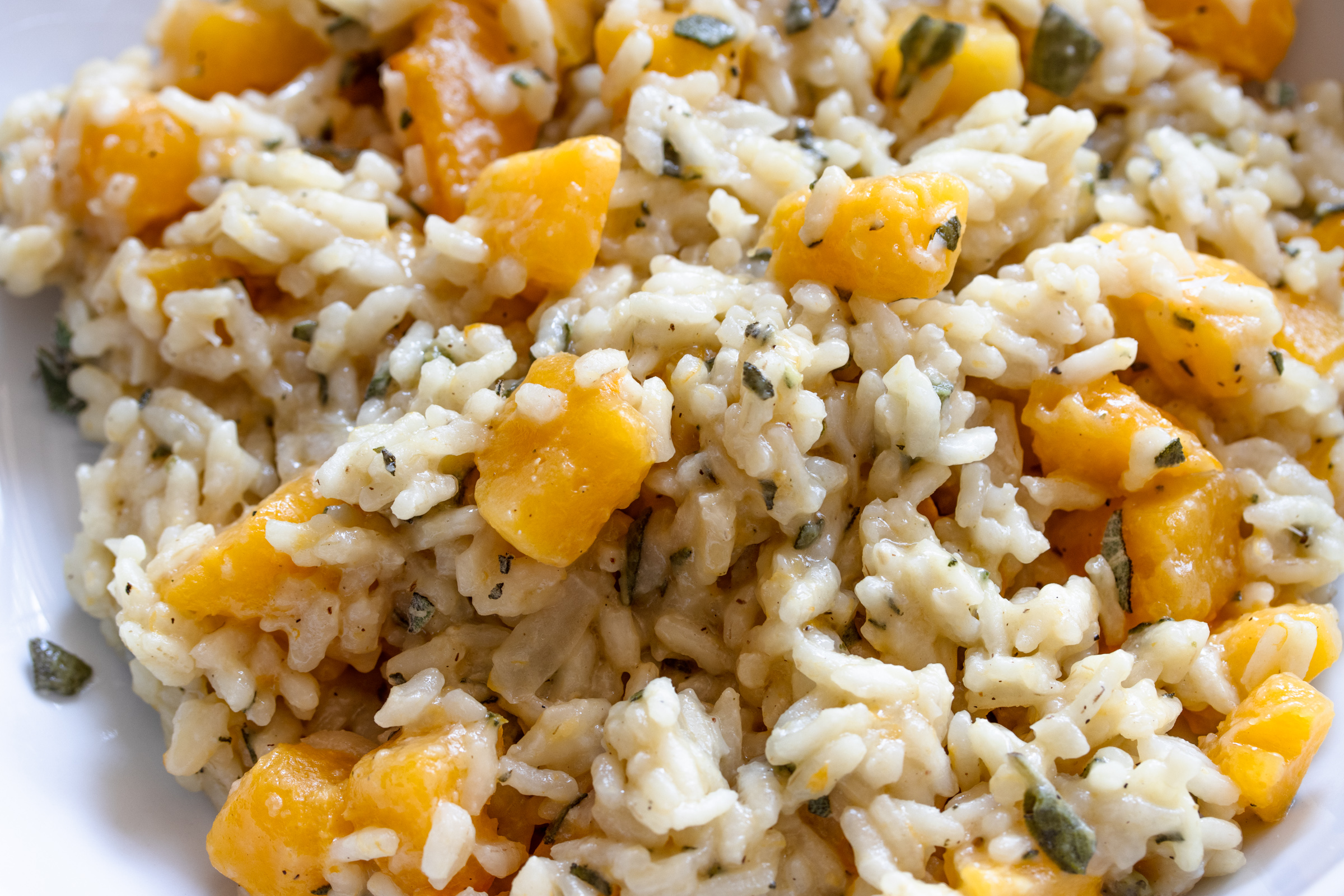 Butternut squash risotto served in a white plate
