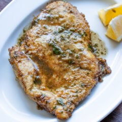 Chicken Francese served on an oval white plate.