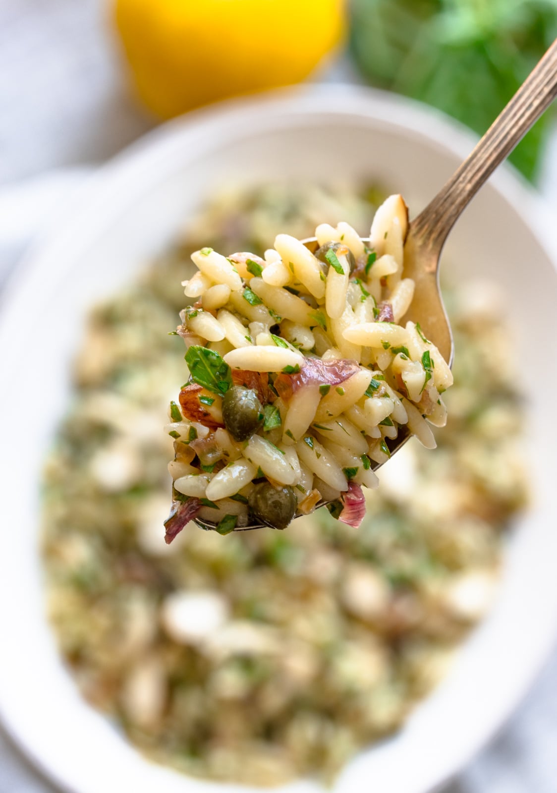 Close up spoonful of this mediterrean orzo salad. 