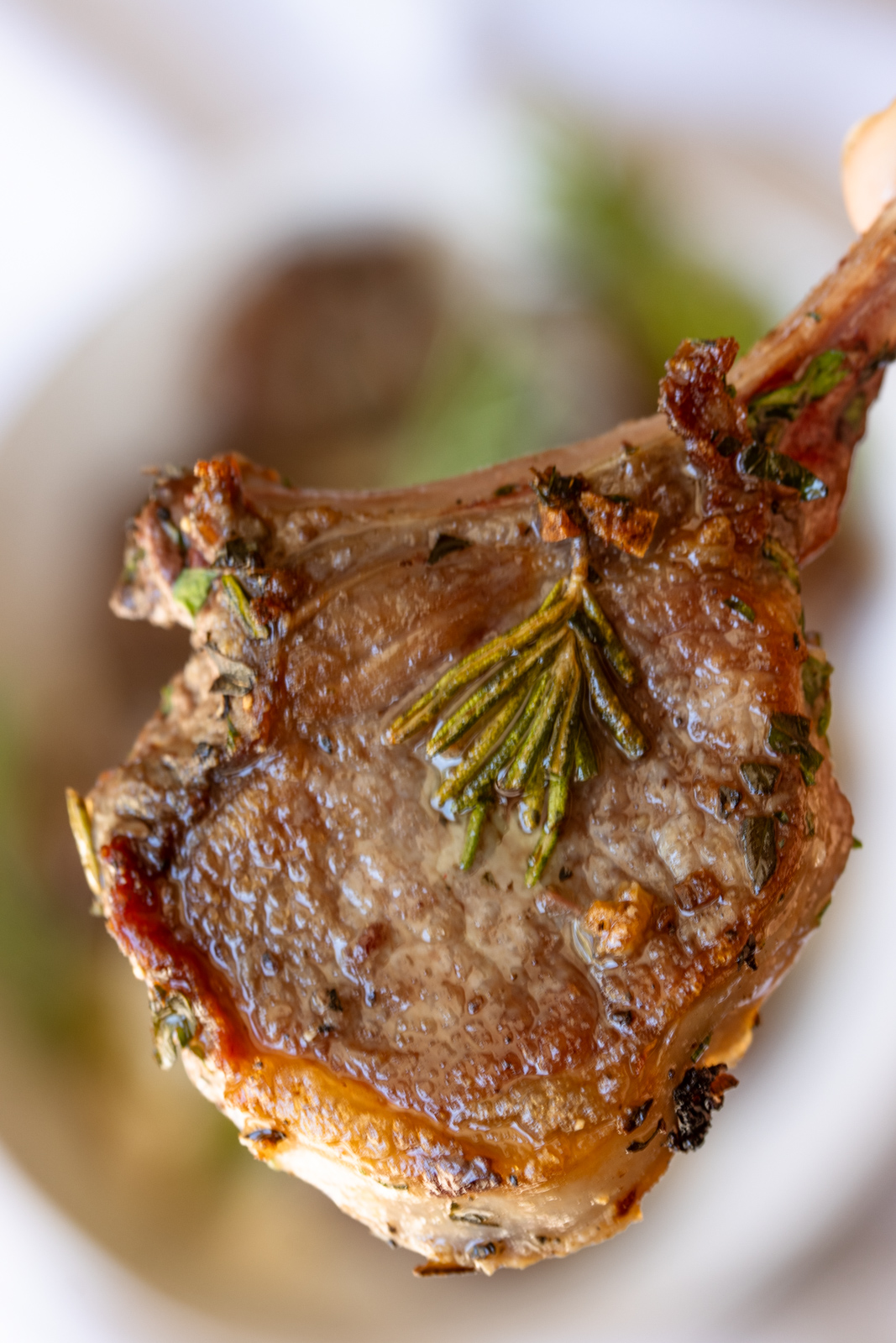Close up of a grilled lamb chop.