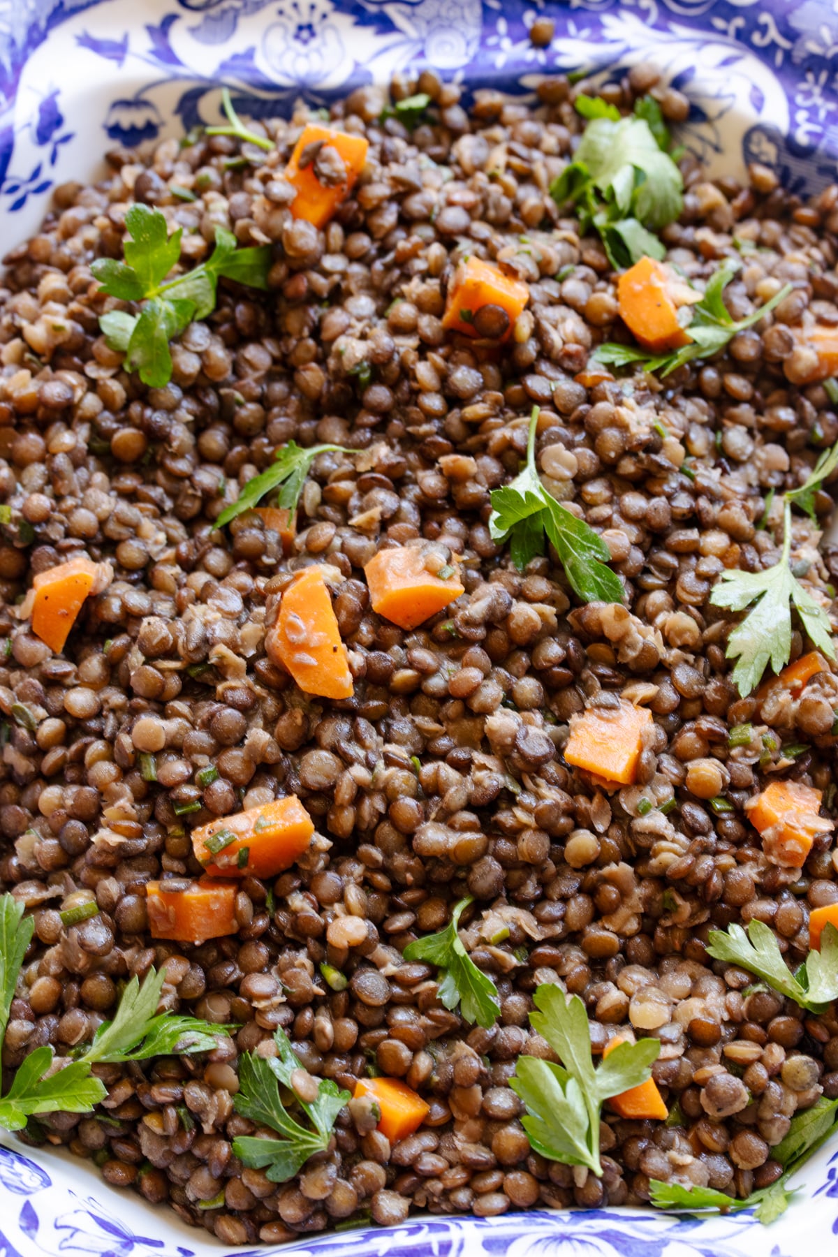 French Lentil Salad
