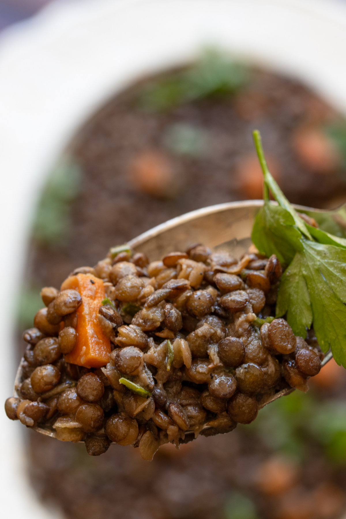A spoonful of lentil salad ready to be enjoyed.