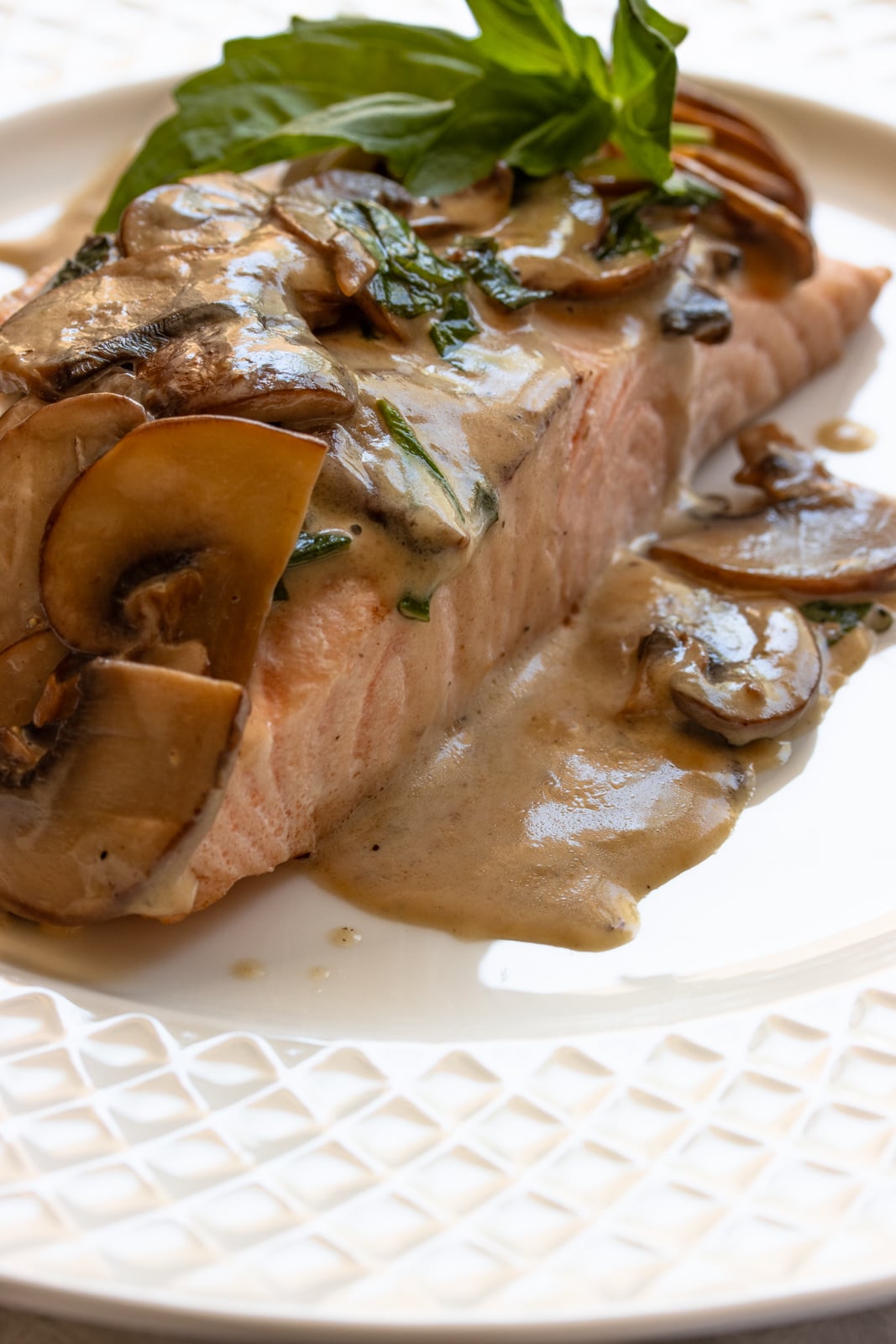 salmon with basil mushroom sauce Salmon and mushroom sauce served on a white plate.