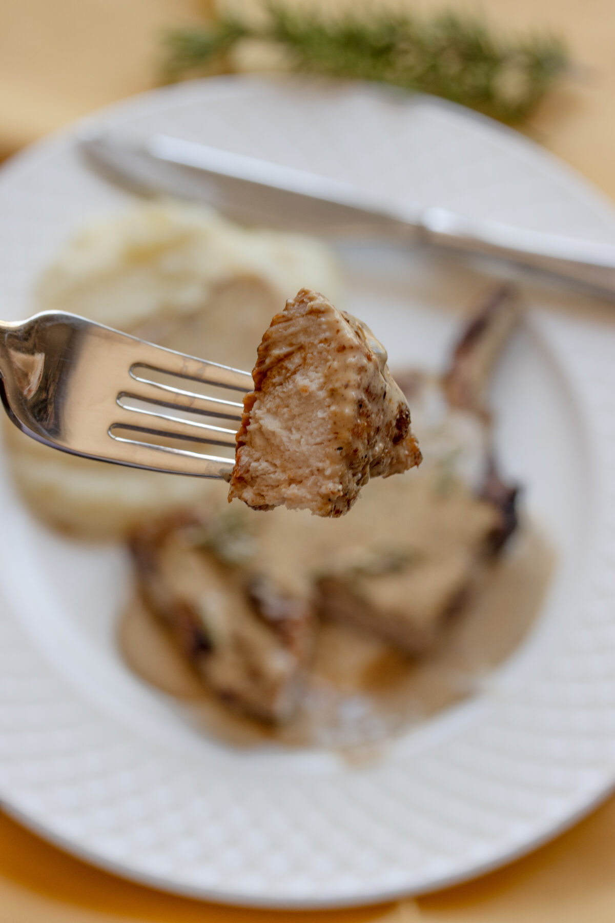Close up of a piece of the pork.